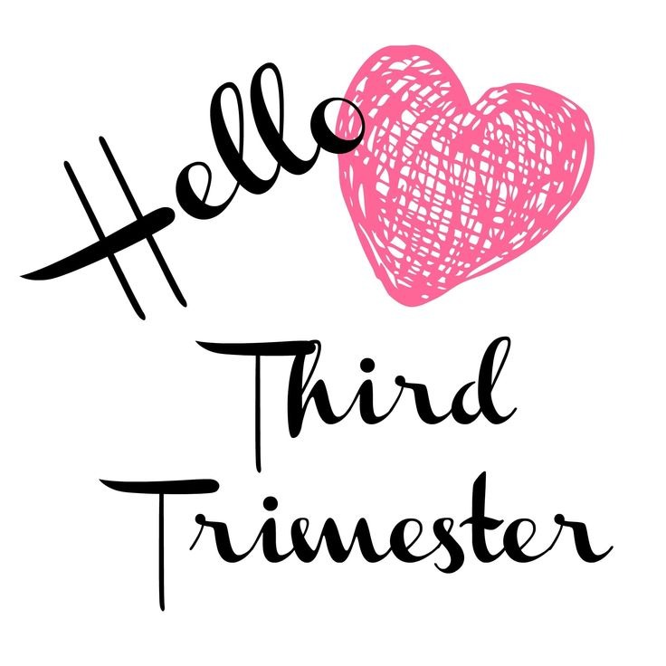 third trimester pregnancy
